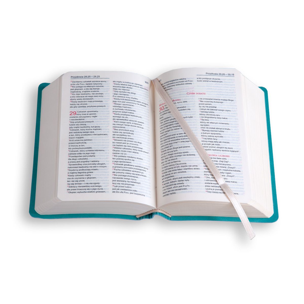 Biblia podręczna tabor flex - turkusowa
